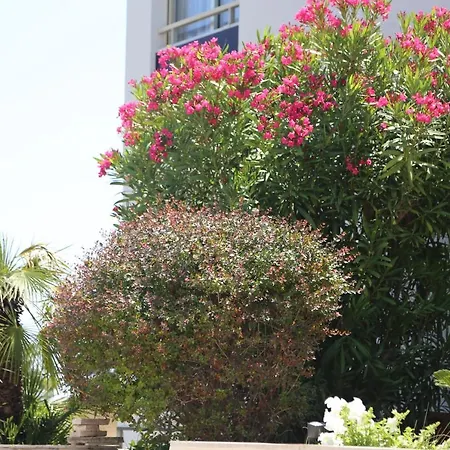 Rooftop Croisette/alexandre Iii Apartament *