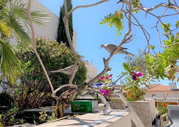 Rooftop Croisette/alexandre Iii *