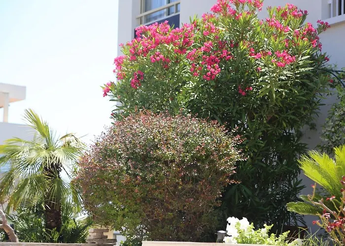 Rooftop Croisette/alexandre Iii Apartament *