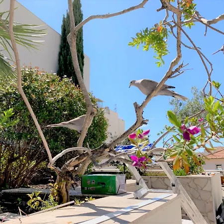 Rooftop Croisette/alexandre Iii *